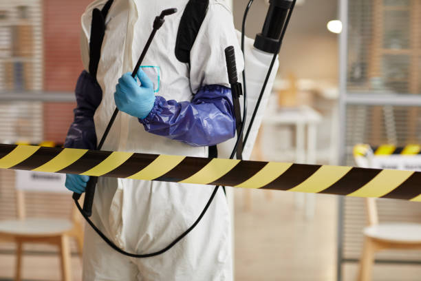 Professional Sewage Cleanup technician working in Eleele, HI